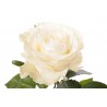 Роза Мондиаль 60 см